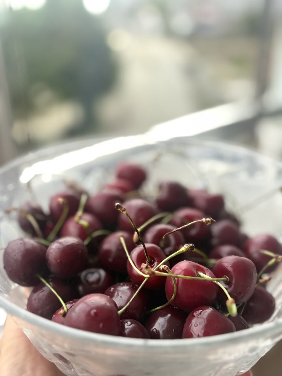 karabey053's tweet photo. Bu yıl bitmeyen kiraz  yapmışlar 🍒 https://t.co/WPgTsFKtU2