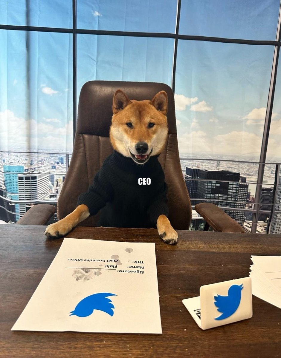 dogeofficialceo tweet picture