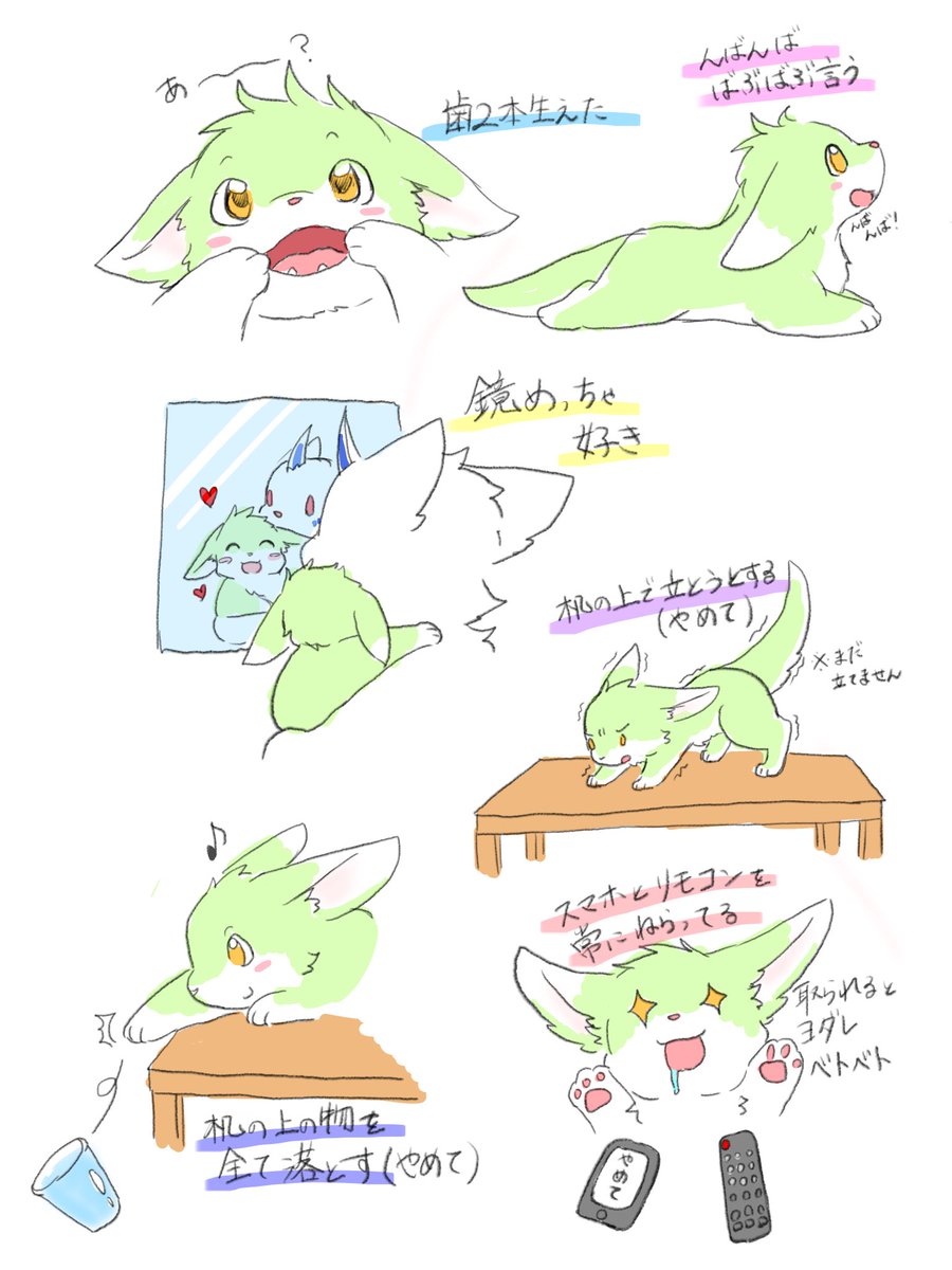 Liddy_anon's tweet photo. 最近のおチビ https://t.co/7CBYqiSRST