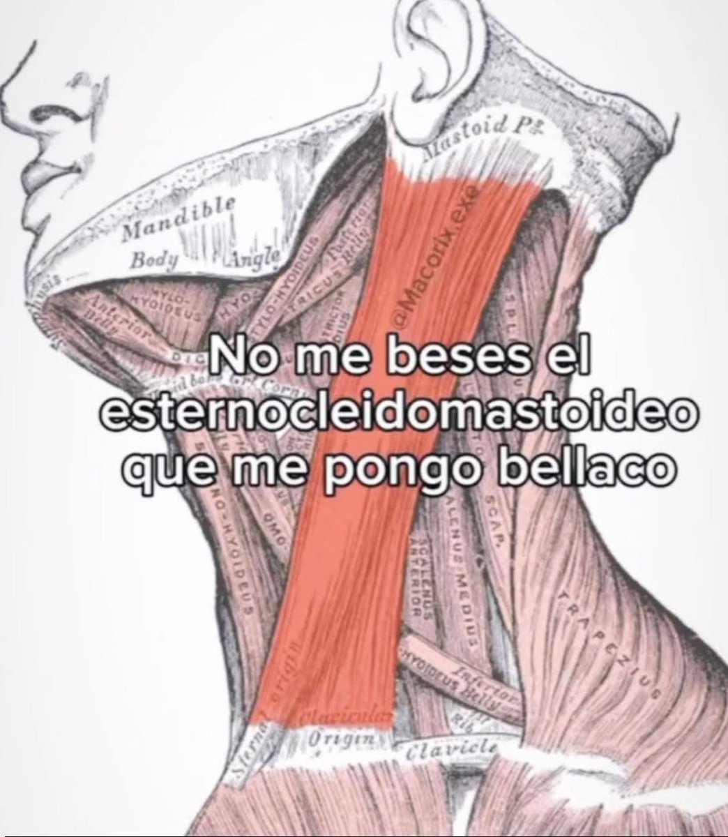 SomosSarcasmo's tweet photo. Porfa... https://t.co/ejvrLWDewW