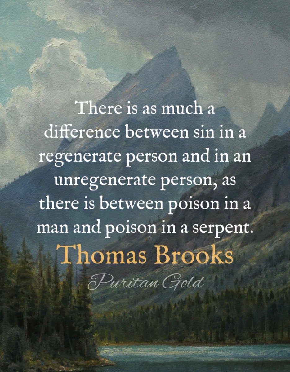 PuritanGold's tweet photo. https://t.co/G79SJT8ipu