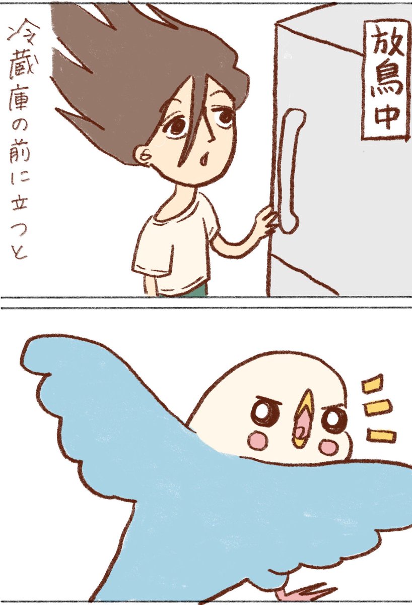 tanikonatsu_2's tweet photo. あわよくば…🍚

#セキセイインコ https://t.co/7cHtqgNIUL