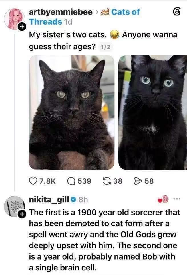 WholesomeMemes tweet media