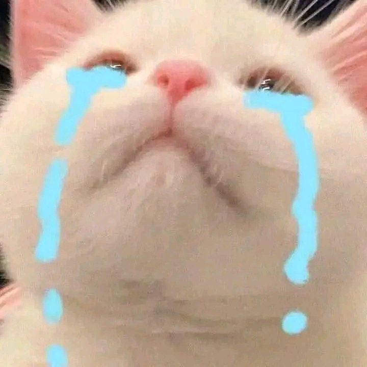 matchwie's tweet photo. @nongHEYU 10 jam gak on, siap di unver? Tolong aktif ya ganteng! (Mewakili admin) wkwkkwk! Cepet sembuh dan balik peluk aku sayang 😔😔 aku kecepian 😔😔 https://t.co/HbpwFnHAq7