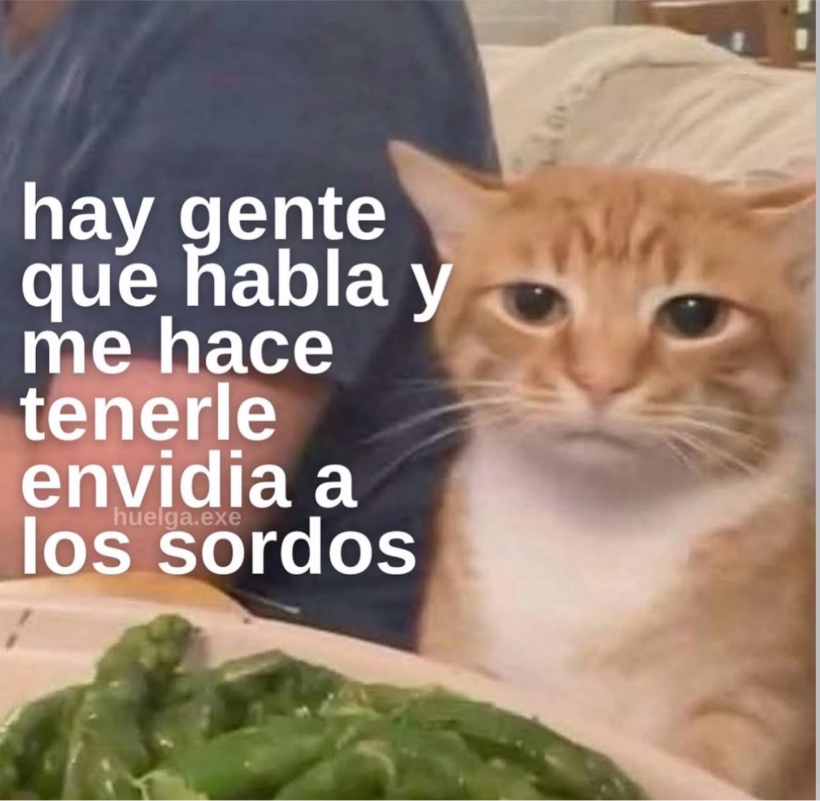 norelenita's tweet photo. Yo en la oficina en estos momentos…. https://t.co/H1YwV85Y3t