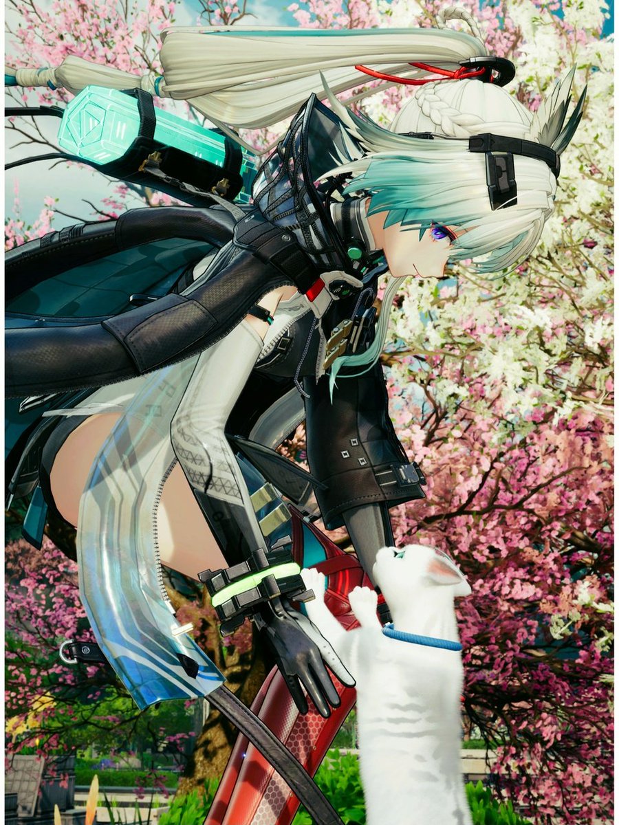 こむぎ (@komugi6a) / Posts / X