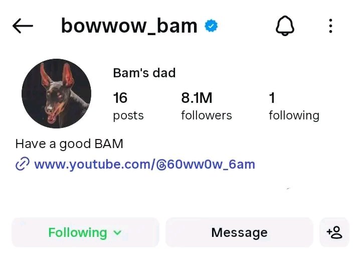 UmmeHaya9993's tweet photo. Even our Bam has more followers than GRAMMYS 😞 😭 https://t.co/I73hdAEfJQ