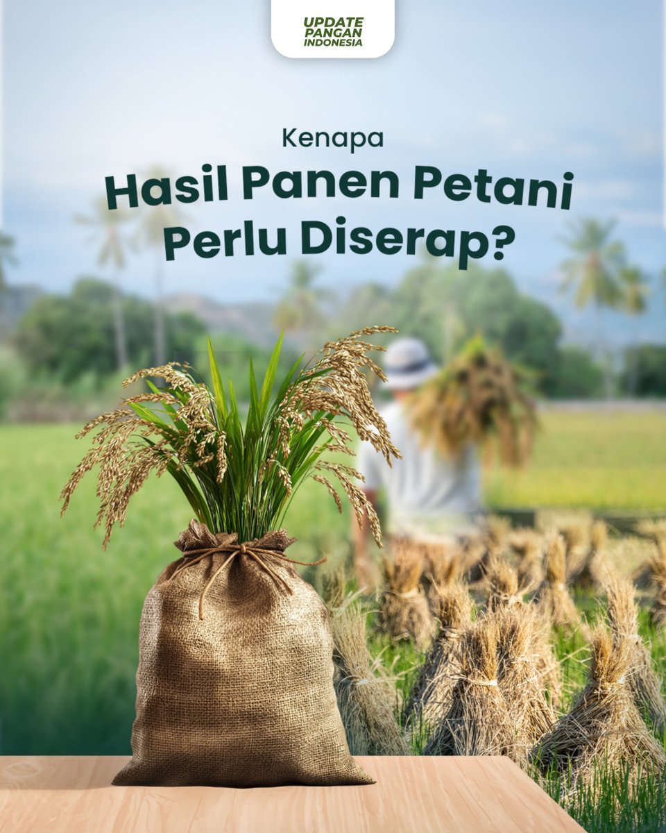 BULOG_Mkw's tweet photo. Setiap gabah yang diserap dari petani bukan hanya membantu meningkatkan kesejahteraan petani, tetapi juga memperkuat cadangan pangan nasional.✨💪

Awal Juni 2026, serapan beras tercatat lebih dari 3 juta ton setara beras, sebuah capaian bersejarah yang memberikan manfaat untuk petani serta menjaga harga panen nih dan memperkuat Cadangan Beras Pemerintah Indonesia!
 
#UpdatePanganIndonesia #OptimalisasiSerapanGabahdanBerasPetani