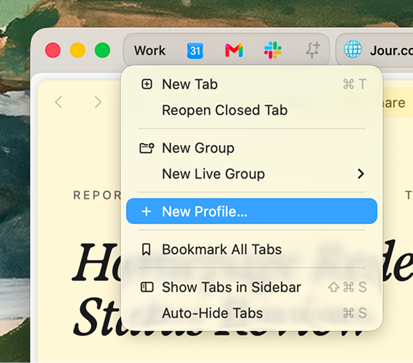 Profiles contain separate logins, tabs, and AI, so you can keep work separate from freelance separat...
