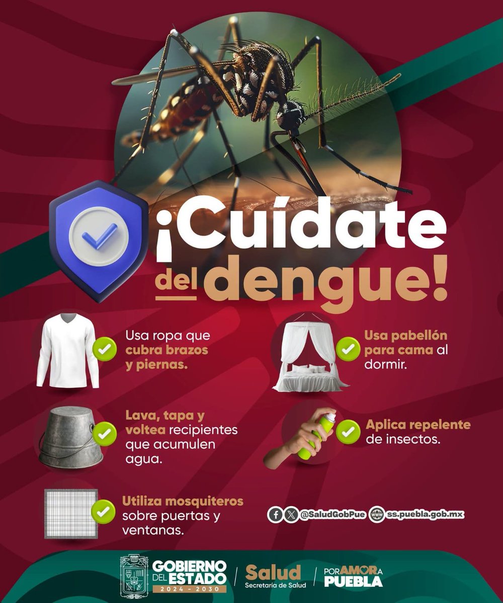 CS_Almecatla's tweet photo. ¡Reforcemos las medidas contra el dengue! 🛡️

El Gobierno de Puebla te recuerda que la prevención es clave para evitar la picadura de mosquito transmisor. 🦟 ¡Prevenir es tarea de todos!

#PorAmorAPuebla https://t.co/FtXPNQPwM1