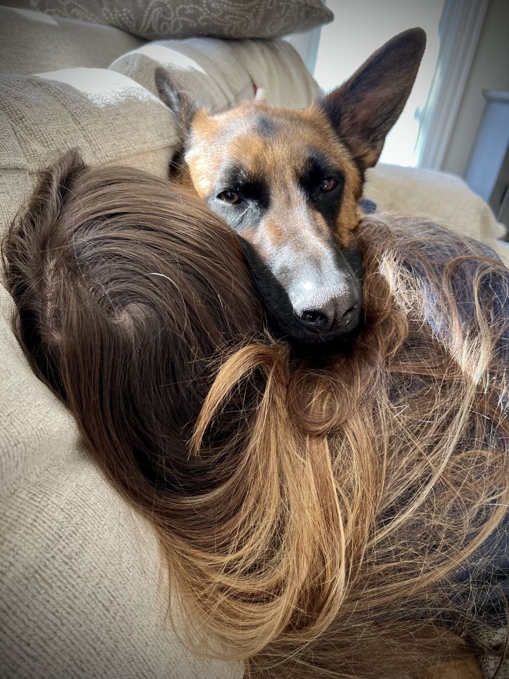 KatePaws2's tweet photo. He climbs into my arms like he owns me.
Heavy, warm, staring right at the camera… he already knows what happens next.
You wanna know what happens next 
👉🏻https://t.co/4c0q0rgbfj https://t.co/MmxkrOgZT2