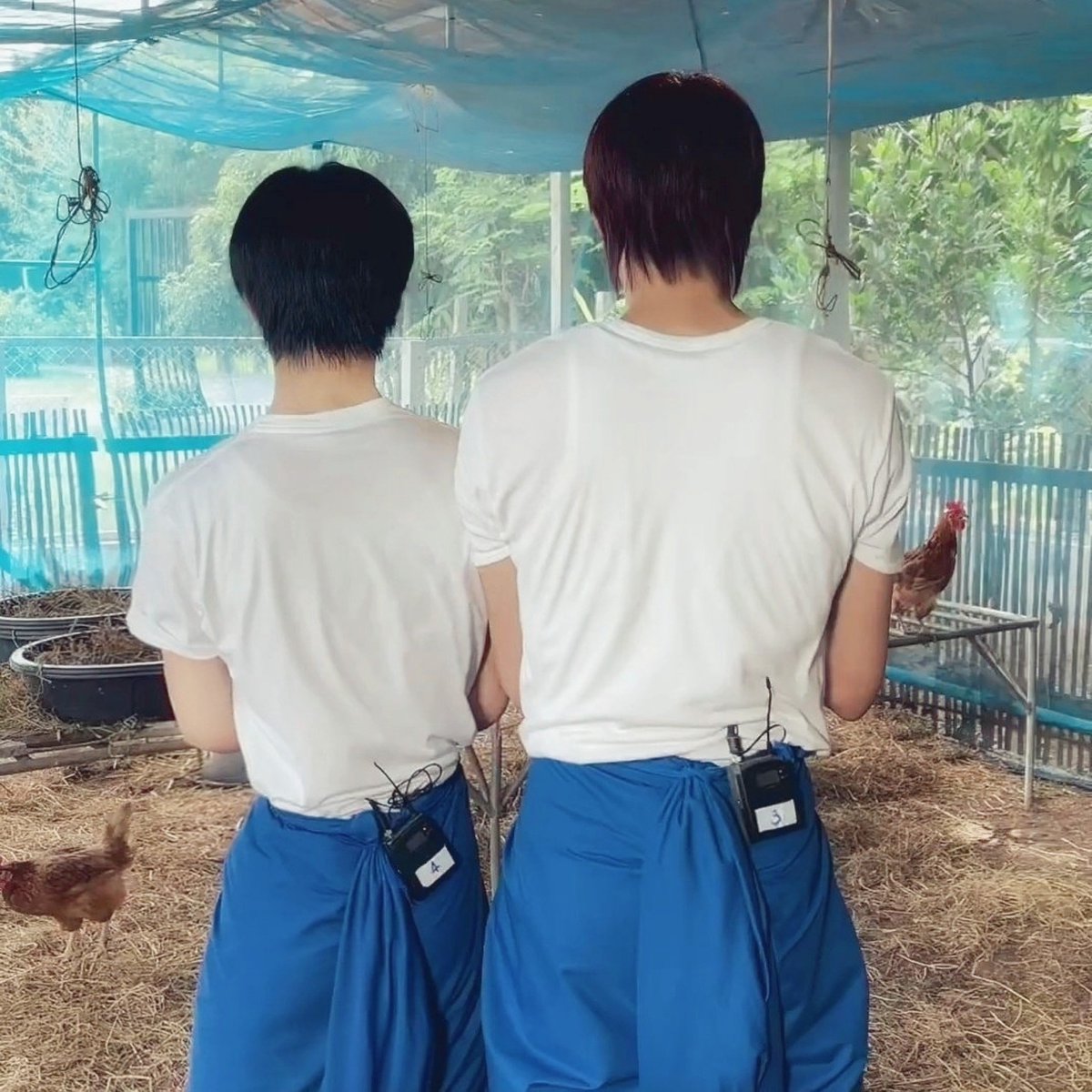 lillybaek's tweet photo. กูเป้นสาววายที่บ้าsize diffมากจริงๆ  ให้ตายเถอะ https://t.co/a1GRMAWsum