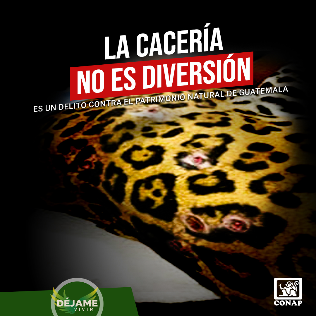 Defensores_FDN tweet picture