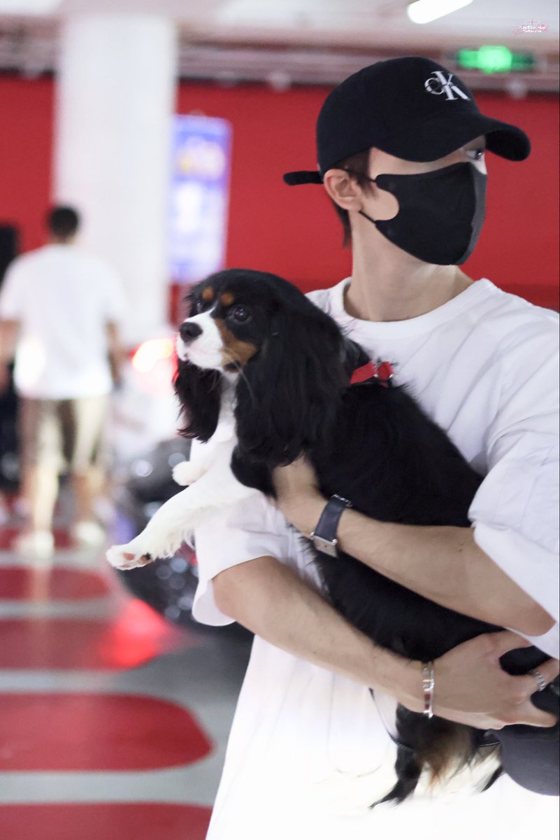 InfiniteStarsP's tweet photo. 𝟐𝟎𝟐𝟔𝟎𝟖𝟎𝟑 PEK🛬

尼克派尼克

@patrick_pppat
#TheKillingOfBegonia #แพทริค
#ZhengYan #海棠春
#PatrickFinkler #尹浩宇 https://t.co/e713v9Nbvi