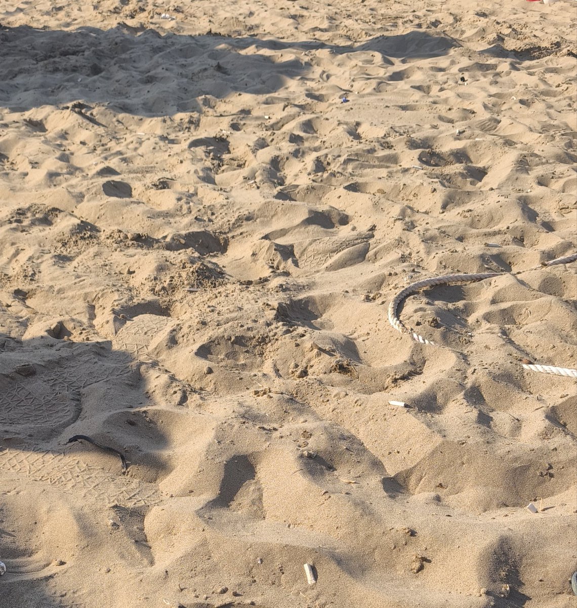 E_D3434's tweet photo. Bugün yine şile iyice buralı olduk 🫣 Ayazma plajı 🌊👙 https://t.co/6rCQiDJN5C