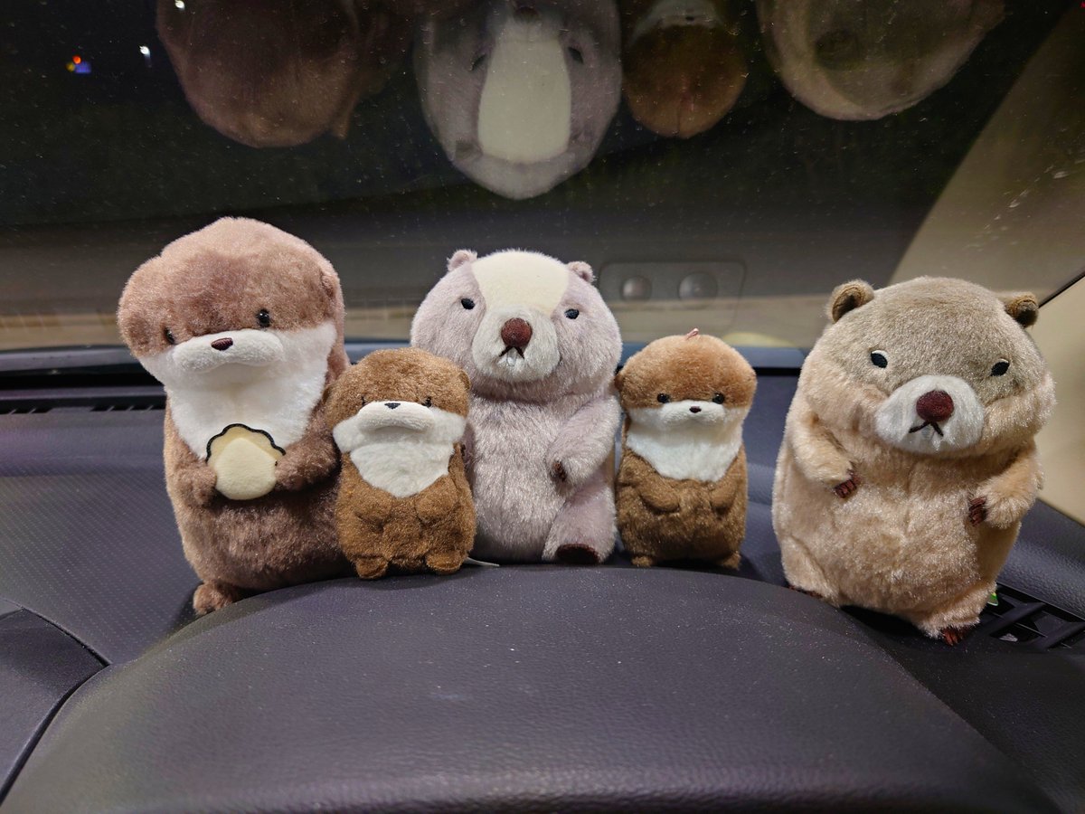 XYZ__48's tweet photo. #カワウソうそやん
#マーモットのもっとっと
#さすらいの旅カワウソ
#ぬい撮り
#ぬい活

今からみんなで大阪へ！
下道でゆっくり向かおうね！✨️
引率にはバタちゃんずの長
バタツーにも来てもらいました！
頼むよツー！ʕ๑•ω•๑ʔ

ʕ๑•ω•๑ʔ
まかせて！
みんなでなかよくいこうね！ https://t.co/uNmFDMCCXu