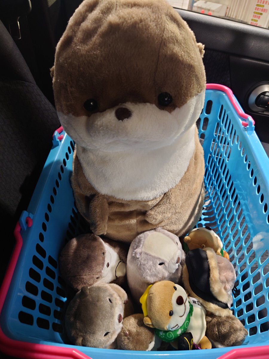 XYZ__48's tweet photo. #カワウソうそやん
#マーモットのもっとっと
#さすらいの旅カワウソ
#ぬい撮り
#ぬい活

今からみんなで大阪へ！
下道でゆっくり向かおうね！✨️
引率にはバタちゃんずの長
バタツーにも来てもらいました！
頼むよツー！ʕ๑•ω•๑ʔ

ʕ๑•ω•๑ʔ
まかせて！
みんなでなかよくいこうね！ https://t.co/uNmFDMCCXu
