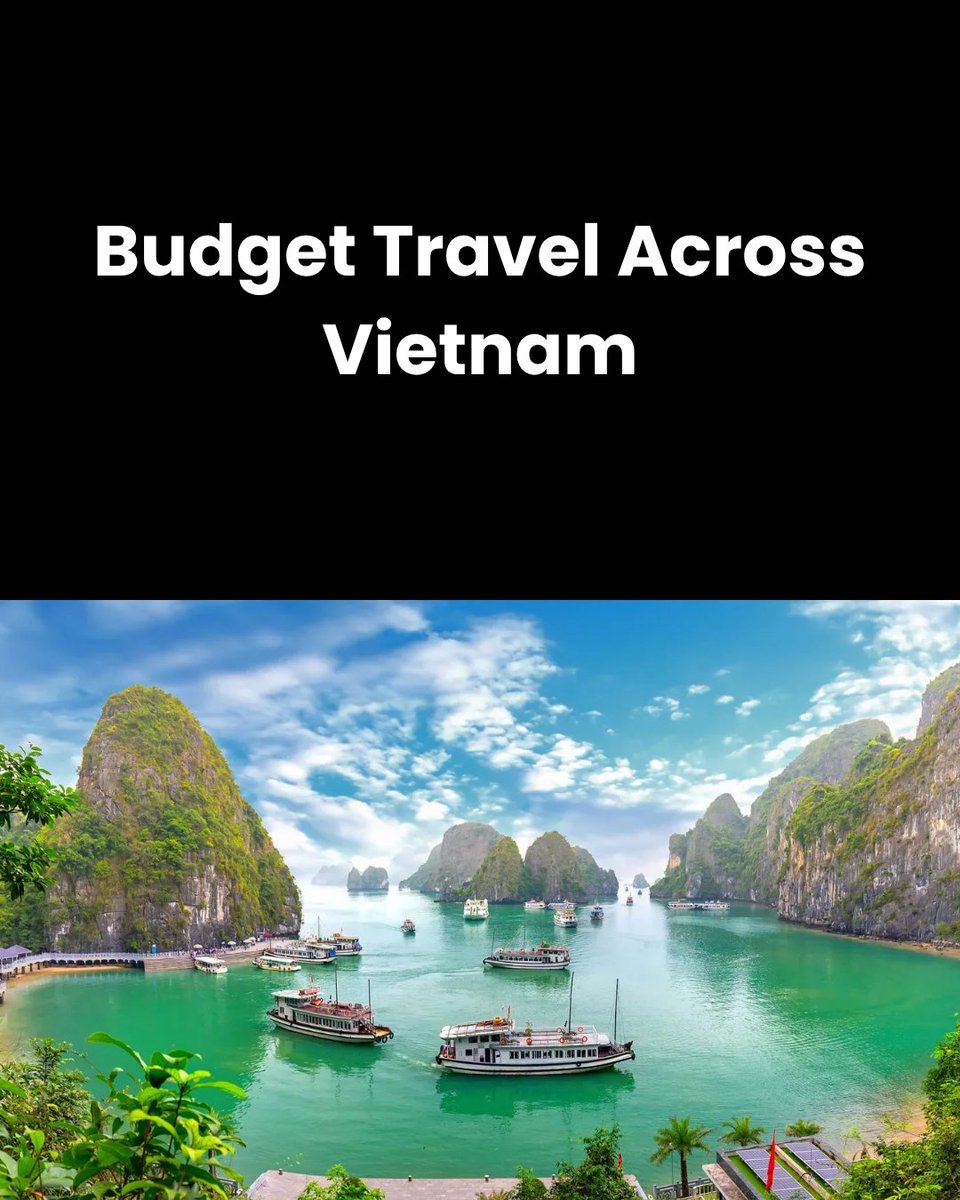 mochiicorp's tweet photo. Budget Travel Across Vietnam

via: https://t.co/LuNy82siOu https://t.co/SF2GXcSqd7