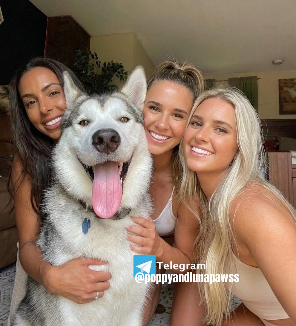 Candygirlspooch's tweet photo. Did you know dogs are happy around women because the breasts releases oxytocin and estrogen which also drives their behavioral receptivity to mating? 

Yes, Zoop 101

#MondayVibes  #nsfwtwtًً https://t.co/vC220MV6Ar
