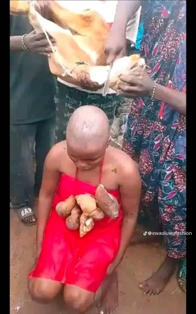 MobilePunch's tweet photo. 𝗧𝗶𝗸𝗧𝗼𝗸𝗲𝗿 𝘂𝗻𝗱𝗲𝗿𝗴𝗼𝗲𝘀 𝘁𝗿𝗮𝗱𝗶𝘁𝗶𝗼𝗻𝗮𝗹 𝗰𝗹𝗲𝗮𝗻𝘀𝗶𝗻𝗴 𝗮𝗳𝘁𝗲𝗿 𝗳𝗶𝗹𝗺𝗶𝗻𝗴 𝗢𝗹𝗼𝗼𝗹𝘂 𝗺𝗮𝘀𝗾𝘂𝗲𝗿𝗮𝗱𝗲 𝗽𝗿𝗼𝗰𝗲𝘀𝘀𝗶𝗼𝗻

𝗥𝗲𝗮𝗱 𝗠𝗼𝗿𝗲: https://t.co/X8dV9wrNCA https://t.co/AvM1tvDDU3