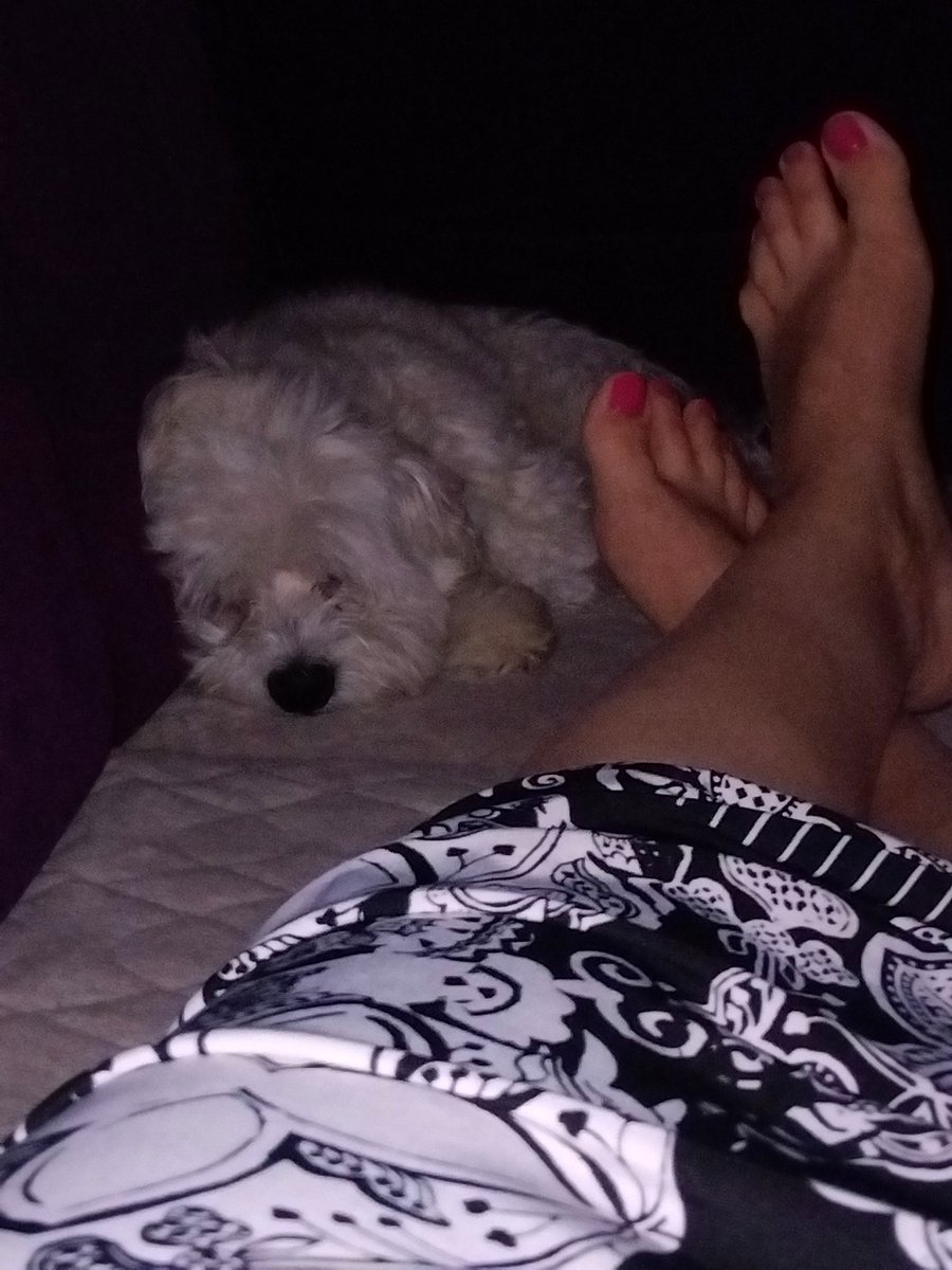 majahmm's tweet photo. Zavukli se na power nap na 38°C https://t.co/kWqCzi2mkj