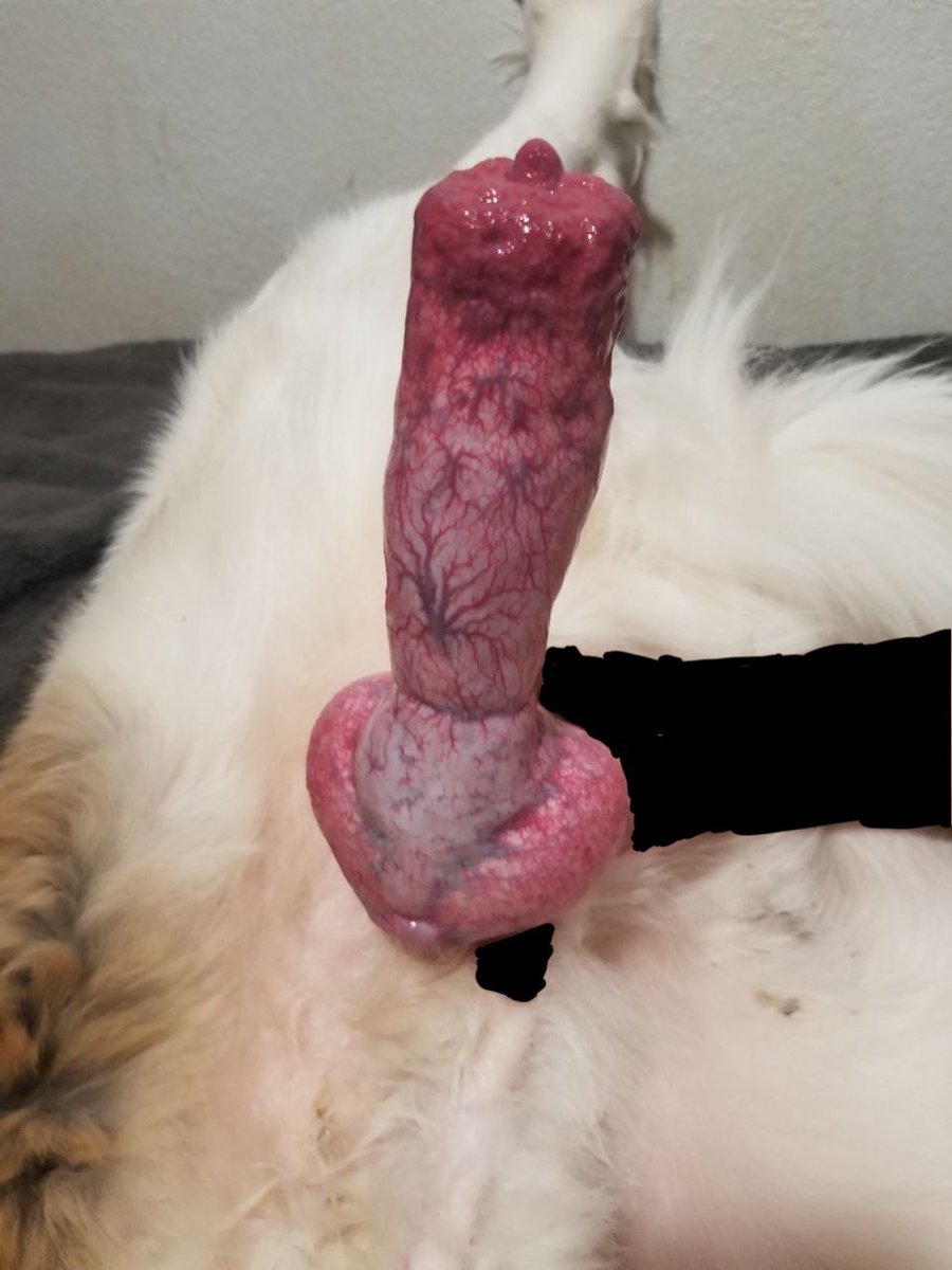 KaseyhCavanrpiR's tweet photo. 𝐈 𝐡𝐨𝐩𝐞 𝐲𝐨𝐮 𝐥𝐢𝐤𝐞 𝐢𝐭 "𝐫𝐮𝐟𝐟"!!!

🐾 𝐅𝐞𝐫𝐚𝐥/𝐀𝐧𝐭𝐡𝐫𝐨 𝐒𝐭𝐮𝐝
🐾 𝐌𝐚𝐥𝐞 𝐌𝐮𝐭𝐭
🐾 𝐒𝐰𝐢𝐭𝐜𝐡 (𝐓𝐨𝐩 𝐋𝐞𝐚𝐧)
🐾 𝐁𝐢 (𝐍𝐨 𝐏𝐫𝐞𝐟)
🐾 𝐀𝐥𝐦𝐨𝐬𝐭 𝐋𝐢𝐦𝐢𝐭𝐥𝐞𝐬𝐬
🐾 𝐃𝐚𝐫𝐤/𝐓𝐚𝐛𝐨𝐨 𝐖𝐞𝐥𝐜𝐨𝐦𝐞𝐝

#NSFW
#zoophillia #beastiality #dogknot https://t.co/DlUhe2U04F