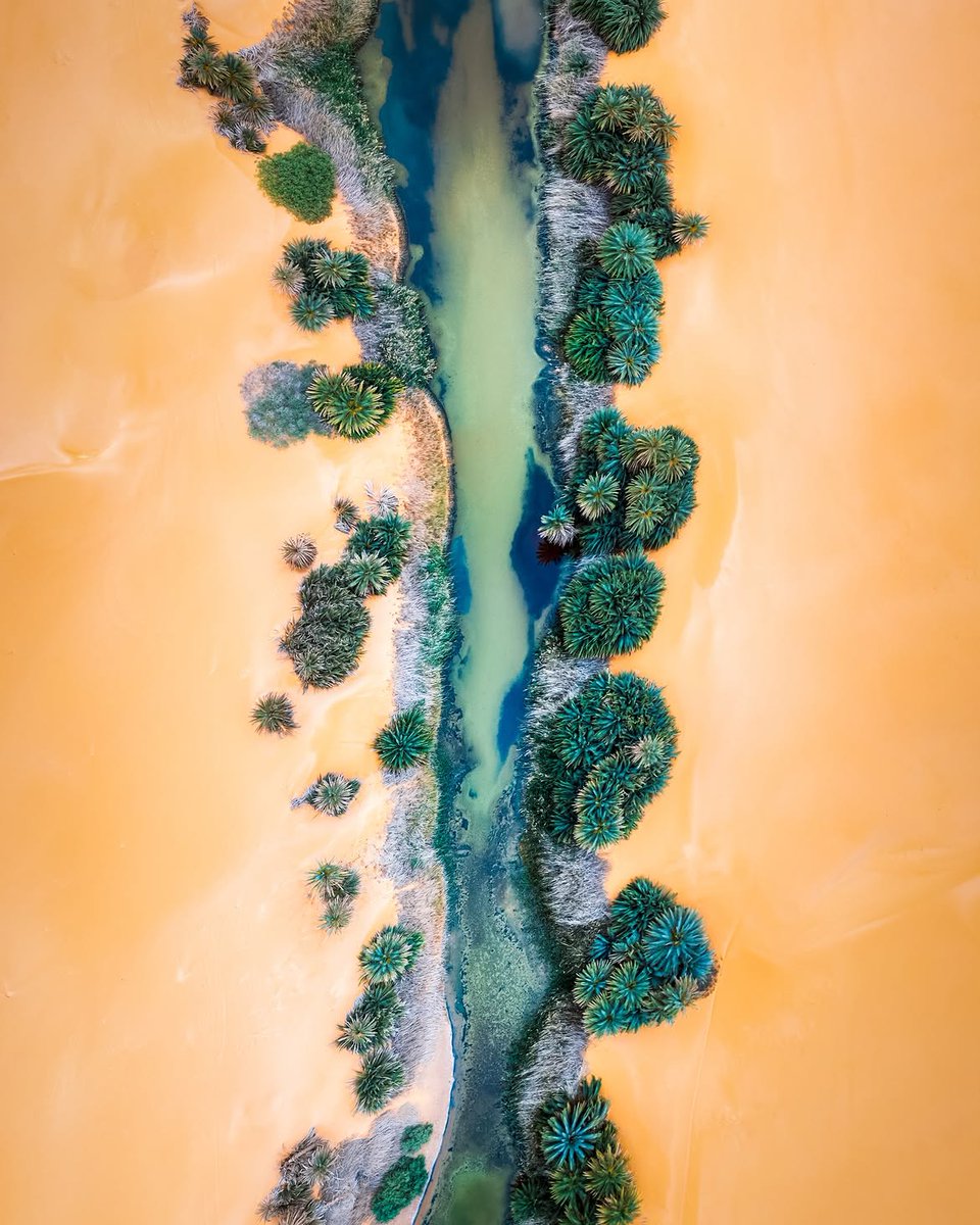 Nature is Amazing ☘️ tweet media