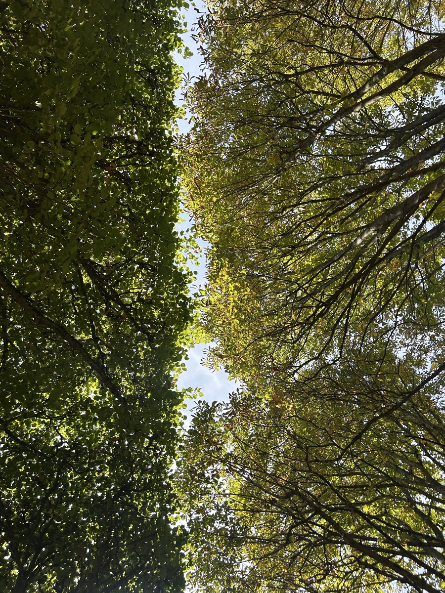 MinaGaze's tweet photo. un jour d’été au parc de sceaux https://t.co/TtlLDELbic
