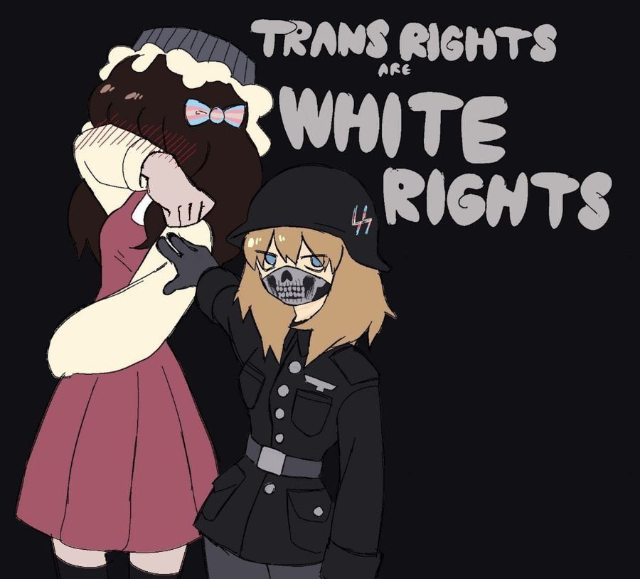 Seymour_Lolis's tweet photo. as a white trans woman, i can confirm this is true. https://t.co/osCvXWKSM9