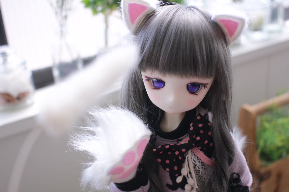 なにぬねこみや10さい 引用元ポストへのたくさんの反応ありがとうご