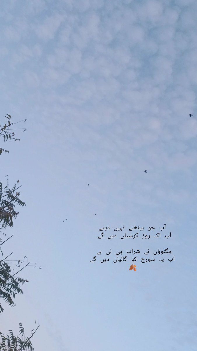 socialicllc's tweet photo. 🍂✨ https://t.co/K0zVZWk8YY