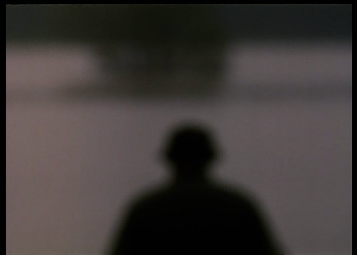 grindingthefilm's tweet photo. Voices Through Time (Franco Piavoli, 1996) https://t.co/zYyQqaIDLn