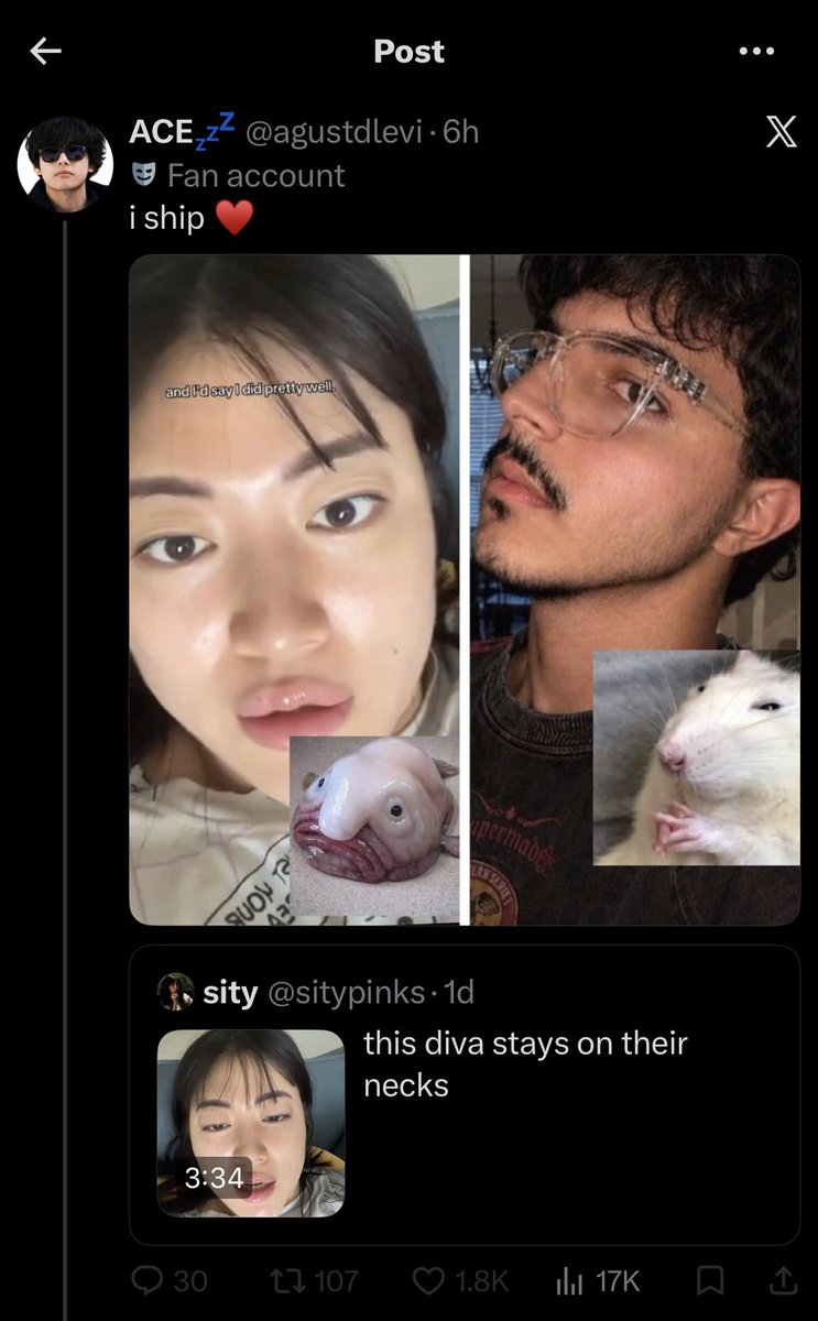 sity tweet media