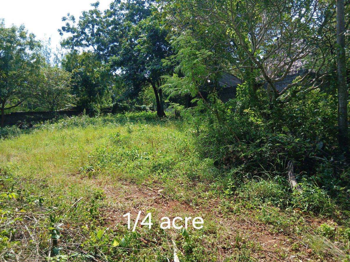 GKasuki's tweet photo. @Kenyans Investment opportunity in Diani, Kwale County:

½ acre sh 8.5million 
¼ acre sh 4.5million 

Located 3rd row from the beach in a secure area served by a graded road that is 300m from the tarmac. 

Clean title. 

Contact: 0713 855 765 https://t.co/aN39q0vkDq