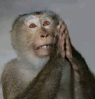 vickifwesh's tweet photo. Her male bestie begging her to pin the second pregnancy on you again https://t.co/I07Snqphy4