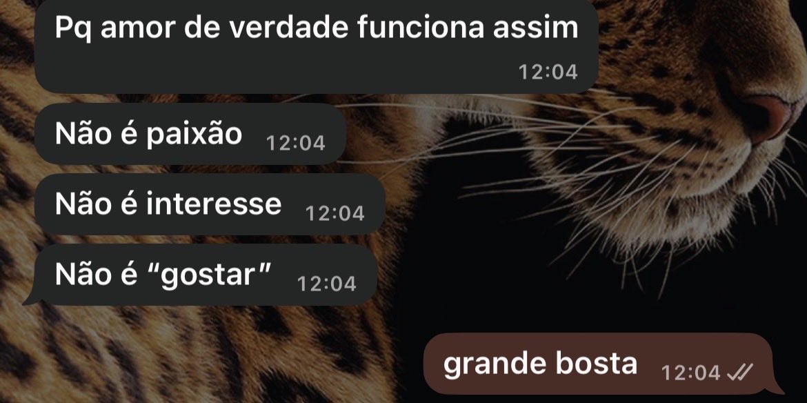 wtfnoelle's tweet photo. onde ja se viu https://t.co/QDhGd4DQGA