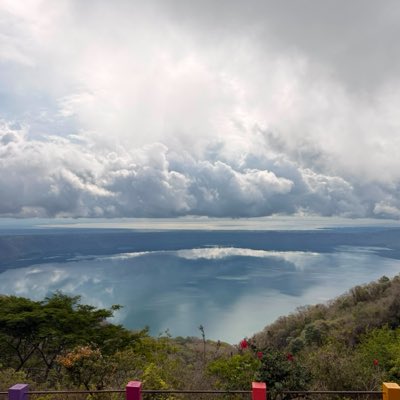 Mofongo75's tweet photo. #NewProfilePic https://t.co/7ZSdrRPR1X