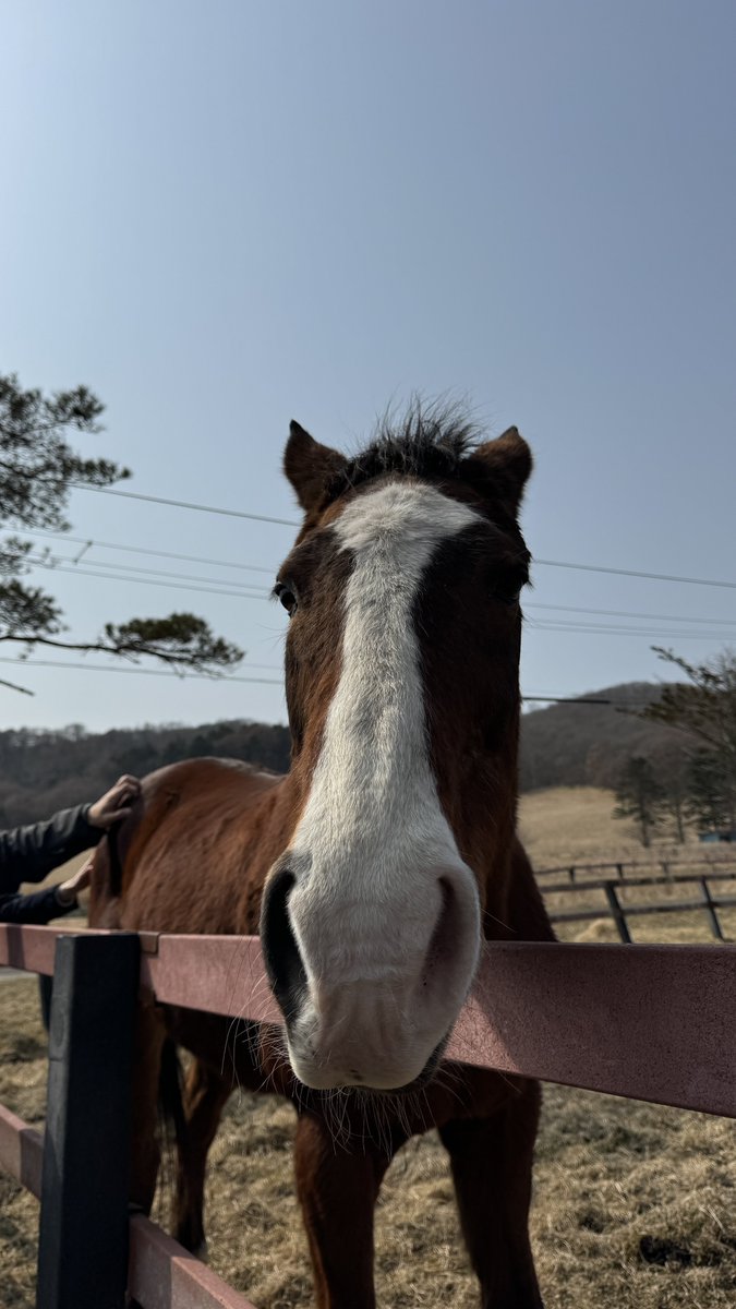 timelydoto's tweet photo. i have hired this to stare at  you. https://t.co/SCCk0QK93Z