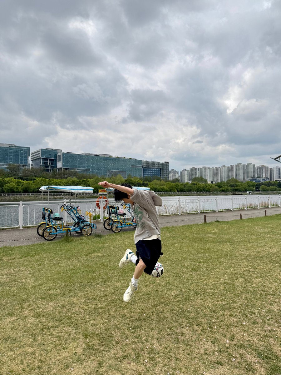 mango_dkr's tweet photo. 🌳아빠 시점                                    🐿️ 엄마 시점 https://t.co/FenO2iM9sF