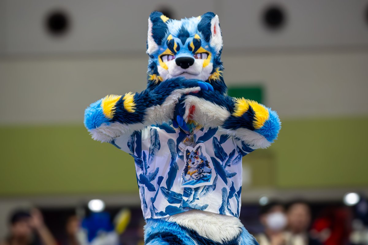 hasuke_wolf's tweet photo. #OFFF2026
@leiwolf0324 
🤜🤛
(この写真だけ見たら僕がボコされそうになってるみたいだねw) https://t.co/HyPfkdI7M1