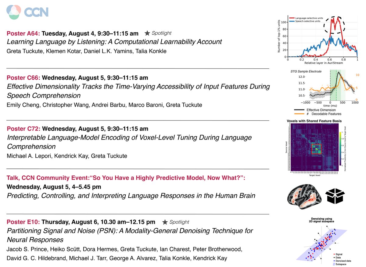 GretaTuckute's tweet photo. #CCN2026 time! 
Come say hi to me + collaborators! ↓ @CogCompNeuro @KlemenKotar @dyamins @talia_konkle @sparse_emcheng @czlwang @_jacobprince_ @cvnlab https://t.co/C3ZueairhY