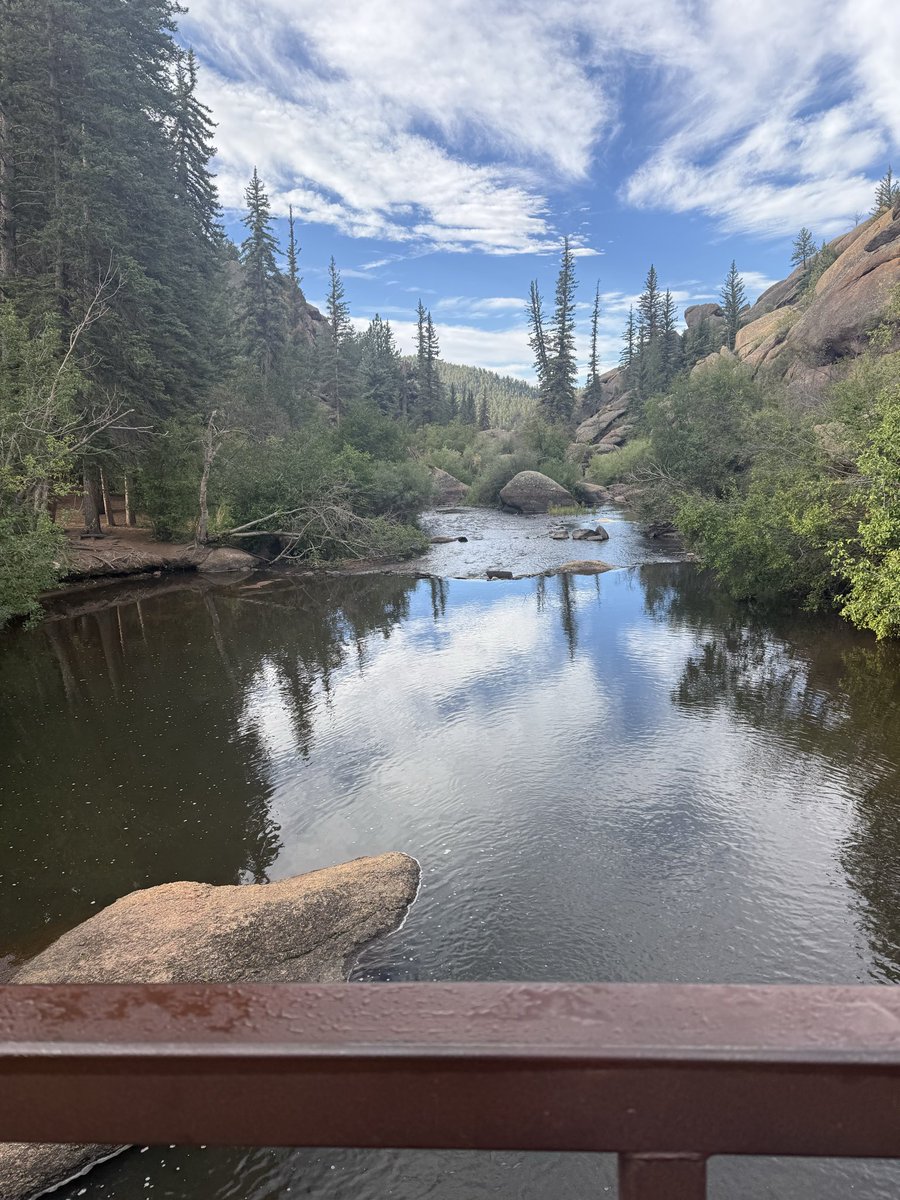 TrevorWEshow's tweet photo. Trading while camping! I also was one of the credited voice actors from Stonercats NFT 👀

@opensea #osmobile https://t.co/C655ZFcprm