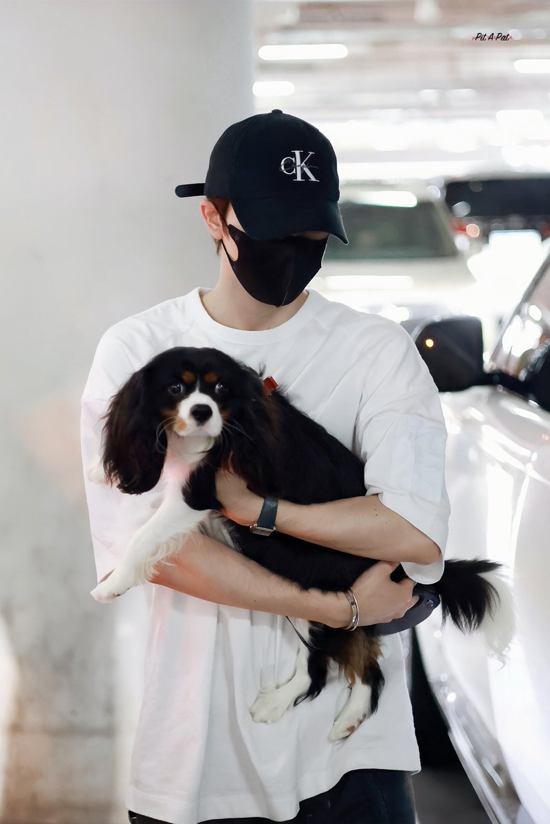 PitAPat1020's tweet photo. 260803 PEK🛬

恭喜小尼克落地北京！

@patrick_pppat

#PatrickFinkler #Patrick
#แพทริค #เจ้าปลาดาว
#尹浩宇 #Patrick尹浩宇 https://t.co/IMUuzfqJhv
