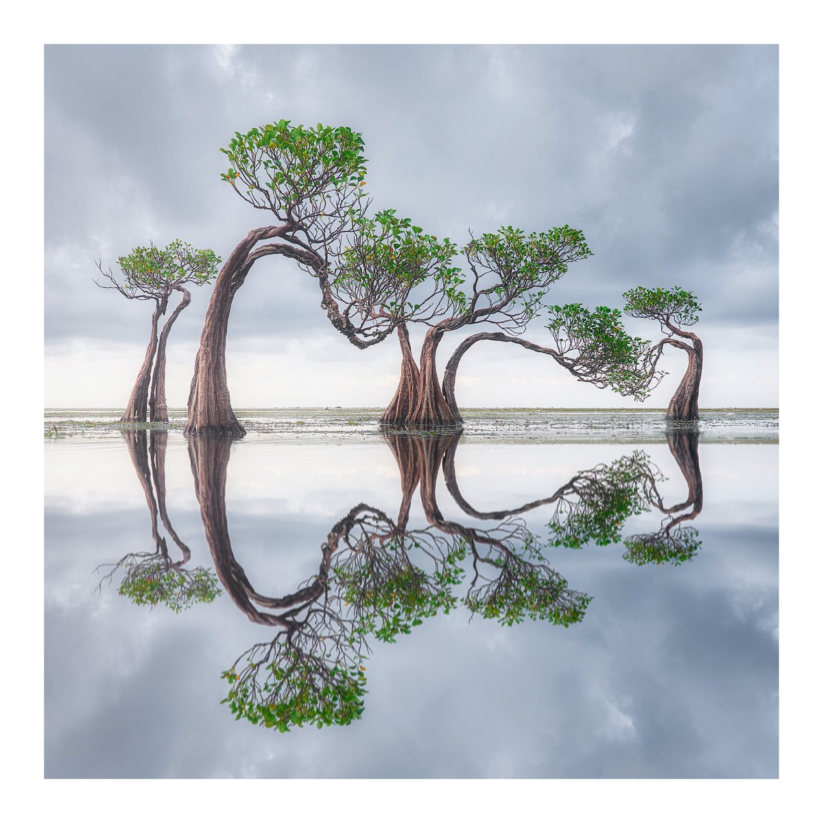 MarkDenneyPhoto's tweet photo. People often ask me about my favorite photo I’ve ever captured. It’s nearly impossible to choose just one, but this image almost always comes to mind. https://t.co/kM1YPwEG6R