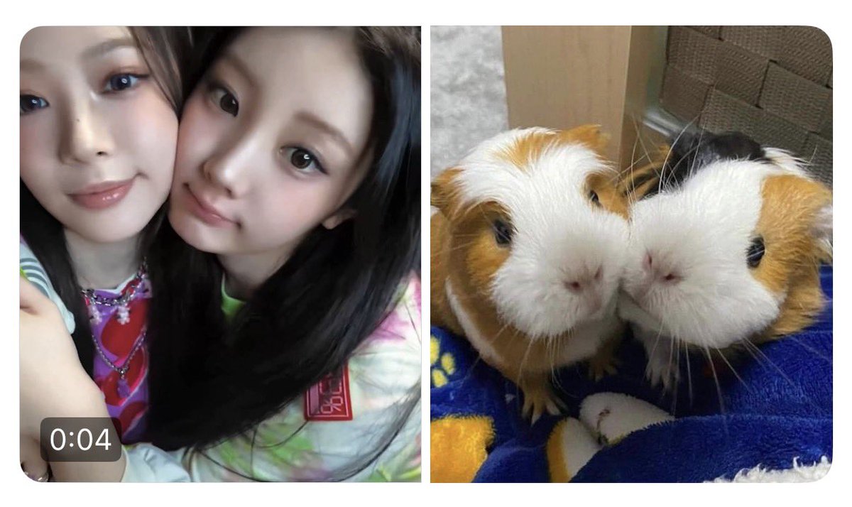 ppippimkm's tweet photo. https://t.co/NO2rRmIwbl