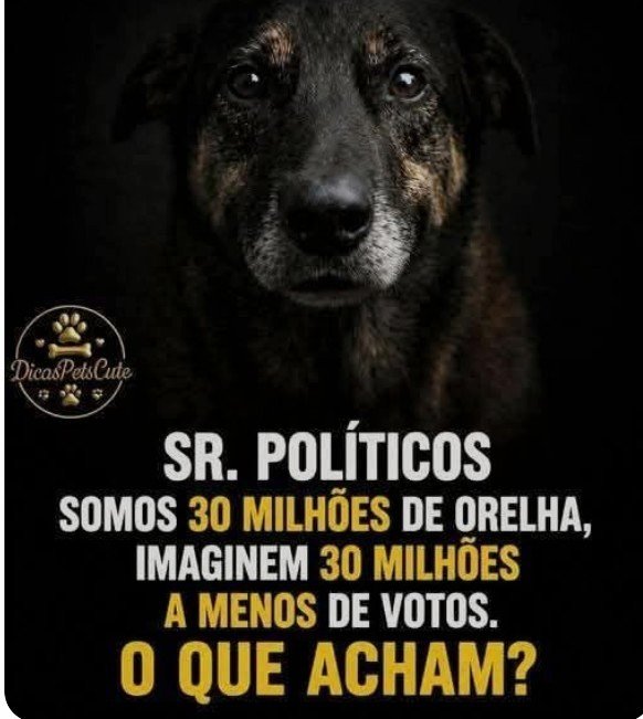 MaluFreire11911's tweet photo. https://t.co/3HlBALGdga