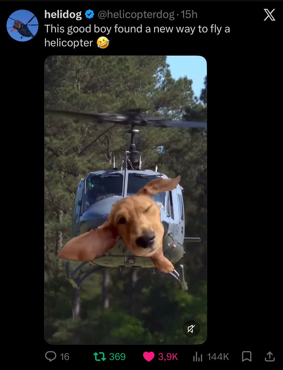 xtc_mt's tweet photo. @OnlyLJC $helidog with 150k views in 15h
at 20k https://t.co/bueBkeadjg