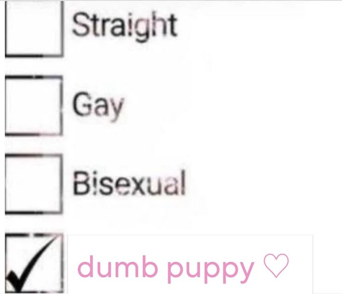 YourFavPuppyBoi's tweet photo. https://t.co/B9sjuSUwcS