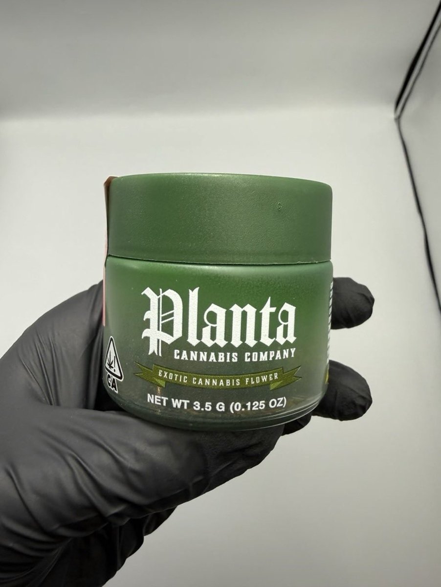 ster6_'s tweet photo. Active and serving Uk weed  London weed Edinburgh weed Manchester weed Liverpool weed Birmingham weed Glasgow weed Bristol weed Oxford weed Cambridge weed York weed Bath weed Brighton weed Cardiff weed Belfast weed Leeds weed Newcastle upon Tyne weed Nottingham weed Sheffield https://t.co/dUH29TiOBK