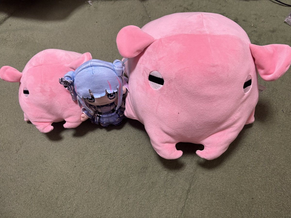 windscarlet's tweet photo. 帰って寝てて整理何もできてないけど
サンシャイン水族館の戦利品
メンだこデカすぎる
右のやつこれで2等なんだよな
1等ぱっと見これの3倍ぐらいありそうに見えたけど https://t.co/CuukjBOTCP